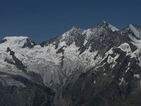 CH, Wallis, Saas Grund, Hohsaas, Mischabelkette 2, Saxifraga-Willem van Kruijsbergen